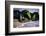 USA, New Jersey, Bay Head-Alison Jones-Framed Photographic Print