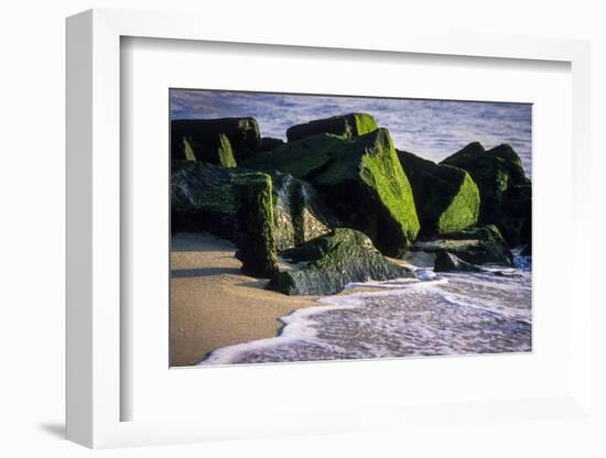 USA, New Jersey, Bay Head-Alison Jones-Framed Photographic Print