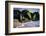 USA, New Jersey, Bay Head-Alison Jones-Framed Photographic Print