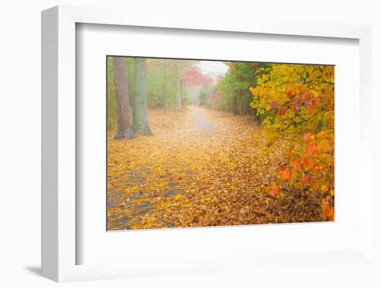 USA, New Jersey, Cape May. Leaf-covered road through autumn forest.-Jaynes Gallery-Framed Photographic Print