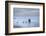 USA, New Jersey, Cape May National Seashore. Beach pilings on stormy sunrise.-Jaynes Gallery-Framed Photographic Print