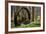 USA, New Jersey, Hunterdon County. Old Waterwheel by Rockaway Creek-Alison Jones-Framed Photographic Print