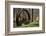 USA, New Jersey, Hunterdon County. Old Waterwheel by Rockaway Creek-Alison Jones-Framed Photographic Print