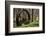 USA, New Jersey, Hunterdon County. Old Waterwheel by Rockaway Creek-Alison Jones-Framed Photographic Print