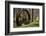 USA, New Jersey, Hunterdon County. Old Waterwheel by Rockaway Creek-Alison Jones-Framed Photographic Print