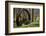 USA, New Jersey, Hunterdon County. Old Waterwheel by Rockaway Creek-Alison Jones-Framed Photographic Print