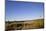 USA, New Mexico, Albuquerque. Hot air balloon-Connie Bransilver-Mounted Photographic Print