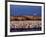 USA, New Mexico, Bosque del Apache, Lesser Snow Geese-Terry Eggers-Framed Photographic Print