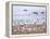 USA, New Mexico, Bosque del Apache, Snow Geese following sand Hill Cranes-Terry Eggers-Framed Premier Image Canvas