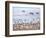 USA, New Mexico, Bosque del Apache, Snow Geese following sand Hill Cranes-Terry Eggers-Framed Photographic Print