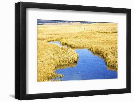 USA, New Mexico, Jemez Mountains in Fall, Valles Caldera National Preserve-Connie Bransilver-Framed Photographic Print