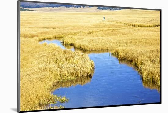 USA, New Mexico, Jemez Mountains in Fall, Valles Caldera National Preserve-Connie Bransilver-Mounted Photographic Print