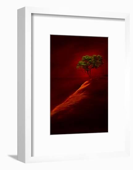 USA, New Mexico, Red Rock State Park. Abstract of lone tree at sunset.-Jaynes Gallery-Framed Photographic Print