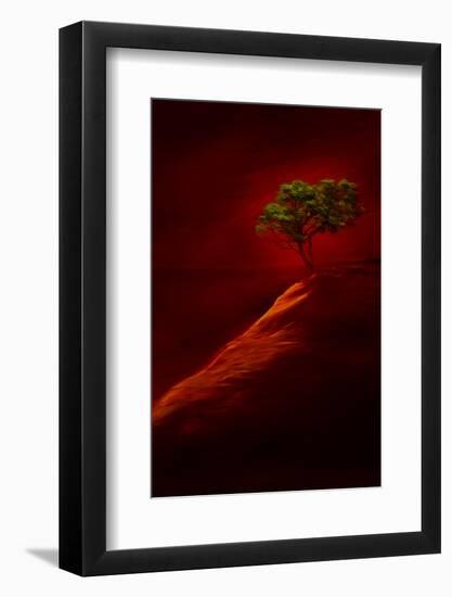 USA, New Mexico, Red Rock State Park. Abstract of lone tree at sunset.-Jaynes Gallery-Framed Photographic Print