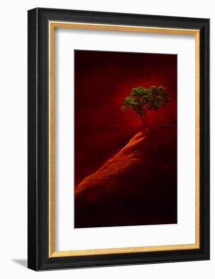 USA, New Mexico, Red Rock State Park. Abstract of lone tree at sunset.-Jaynes Gallery-Framed Photographic Print