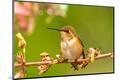 Premium Photographic Print