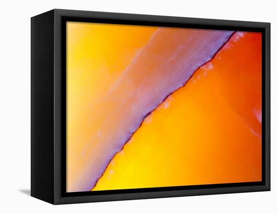 USA, New Mexico, Sant Fe, Agate Close-up, Macro-Terry Eggers-Framed Premier Image Canvas