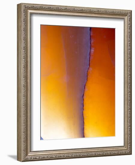 USA, New Mexico, Sant Fe, Agate Close-up, Macro-Terry Eggers-Framed Photographic Print