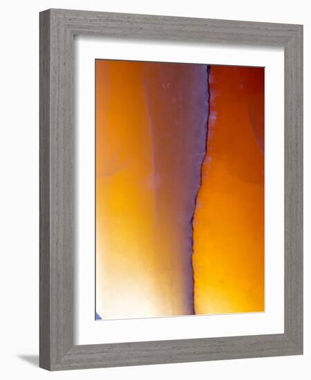 USA, New Mexico, Sant Fe, Agate Close-up, Macro-Terry Eggers-Framed Photographic Print