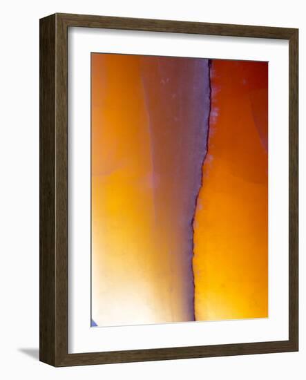 USA, New Mexico, Sant Fe, Agate Close-up, Macro-Terry Eggers-Framed Photographic Print