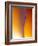 USA, New Mexico, Sant Fe, Agate Close-up, Macro-Terry Eggers-Framed Photographic Print