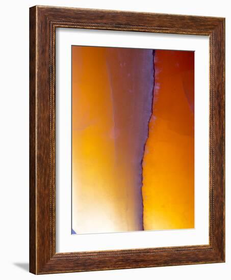 USA, New Mexico, Sant Fe, Agate Close-up, Macro-Terry Eggers-Framed Photographic Print