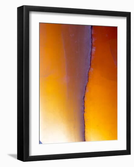 USA, New Mexico, Sant Fe, Agate Close-up, Macro-Terry Eggers-Framed Photographic Print