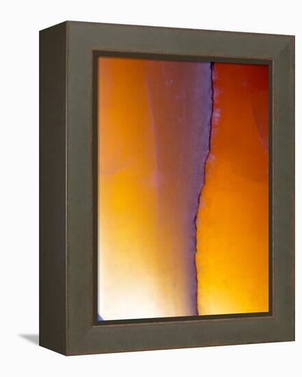 USA, New Mexico, Sant Fe, Agate Close-up, Macro-Terry Eggers-Framed Premier Image Canvas