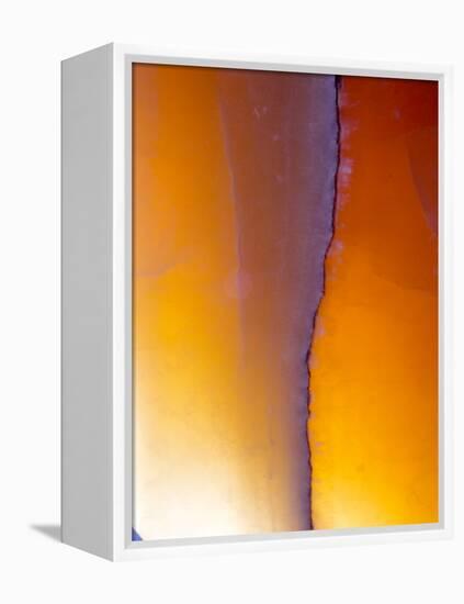 USA, New Mexico, Sant Fe, Agate Close-up, Macro-Terry Eggers-Framed Premier Image Canvas