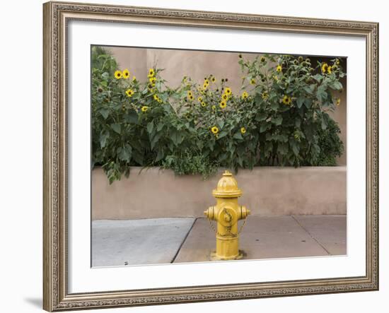 USA, New Mexico, Santa Fe. Fire Hydrant Downton Santa Fe, New Mexico-Luc Novovitch-Framed Photographic Print