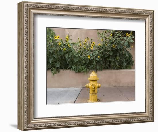 USA, New Mexico, Santa Fe. Fire Hydrant Downton Santa Fe, New Mexico-Luc Novovitch-Framed Premium Photographic Print