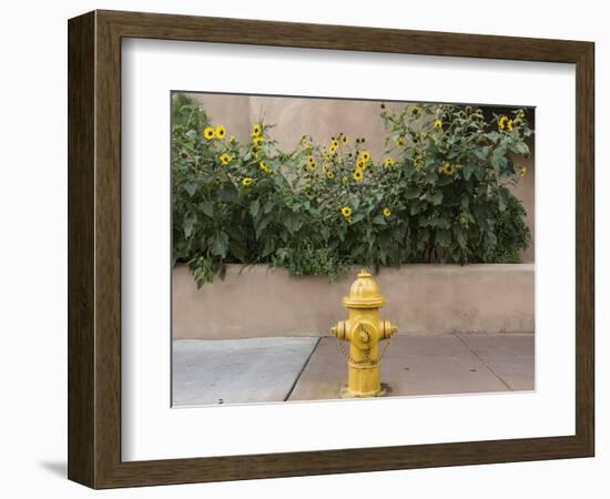 USA, New Mexico, Santa Fe. Fire Hydrant Downton Santa Fe, New Mexico-Luc Novovitch-Framed Premium Photographic Print