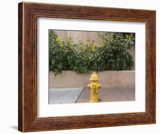 USA, New Mexico, Santa Fe. Fire Hydrant Downton Santa Fe, New Mexico-Luc Novovitch-Framed Premium Photographic Print