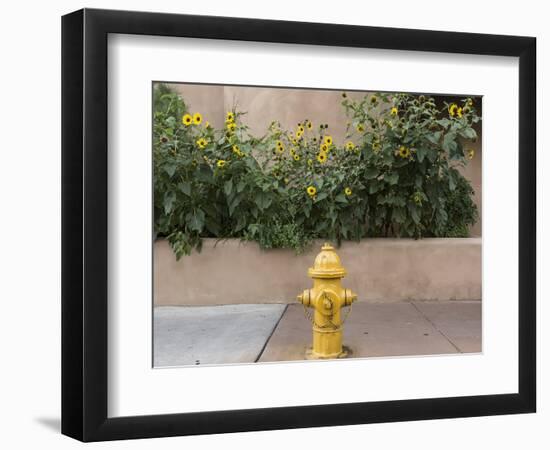 USA, New Mexico, Santa Fe. Fire Hydrant Downton Santa Fe, New Mexico-Luc Novovitch-Framed Premium Photographic Print