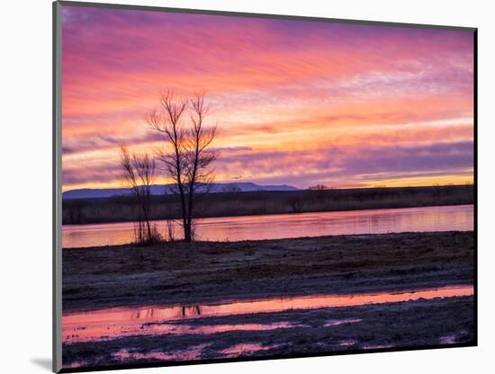 USA, New Mexico, Sunrise at Bosque del Apache National Wildlife Refuge-Terry Eggers-Mounted Photographic Print