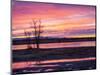 USA, New Mexico, Sunrise at Bosque del Apache National Wildlife Refuge-Terry Eggers-Mounted Photographic Print