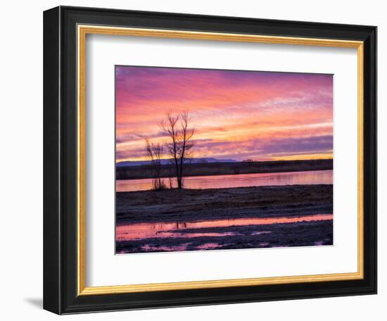 USA, New Mexico, Sunrise at Bosque del Apache National Wildlife Refuge-Terry Eggers-Framed Photographic Print