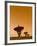 USA, New Mexico, VLA of the National Radio Astronomy Observatory-Alan Copson-Framed Photographic Print