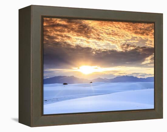 USA, New Mexico, White Sands National Monum-Michele Falzone-Framed Premier Image Canvas