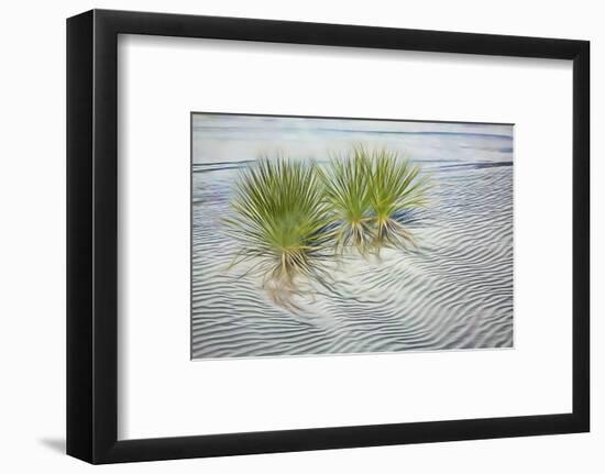 USA, New Mexico, White Sands National Monument. Abstract of agaves in white gypsum sand.-Jaynes Gallery-Framed Photographic Print