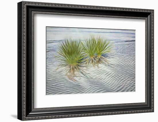 USA, New Mexico, White Sands National Monument. Abstract of agaves in white gypsum sand.-Jaynes Gallery-Framed Photographic Print