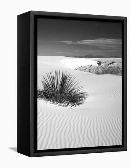 USA, New Mexico, White Sands National Monument. Bush in Desert Sand-Dennis Flaherty-Framed Premier Image Canvas