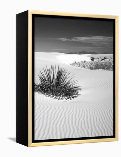 USA, New Mexico, White Sands National Monument. Bush in Desert Sand-Dennis Flaherty-Framed Premier Image Canvas