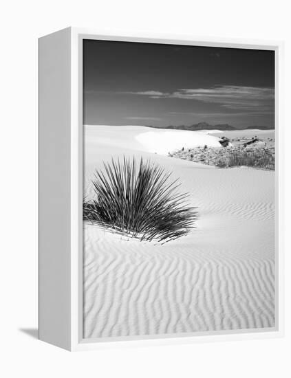 USA, New Mexico, White Sands National Monument. Bush in Desert Sand-Dennis Flaherty-Framed Premier Image Canvas