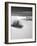 USA, New Mexico, White Sands National Monument. Bush in Desert Sand-Dennis Flaherty-Framed Photographic Print