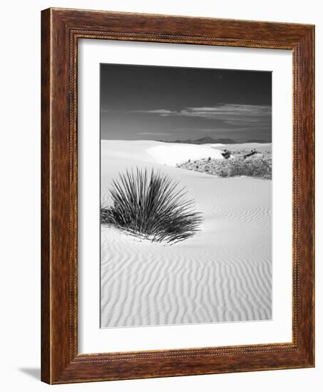 USA, New Mexico, White Sands National Monument. Bush in Desert Sand-Dennis Flaherty-Framed Photographic Print