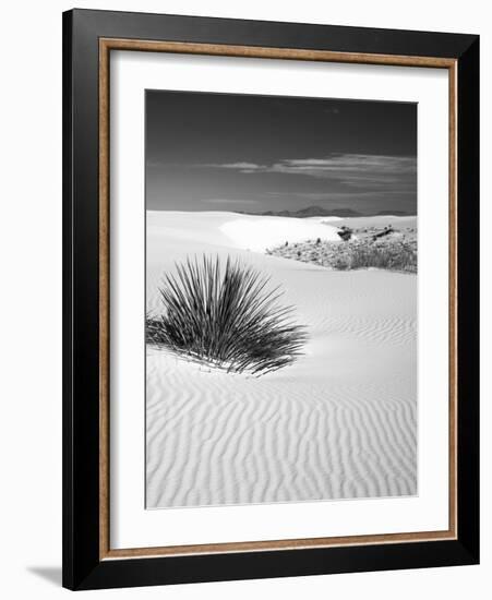 USA, New Mexico, White Sands National Monument. Bush in Desert Sand-Dennis Flaherty-Framed Photographic Print