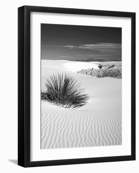 USA, New Mexico, White Sands National Monument. Bush in Desert Sand-Dennis Flaherty-Framed Photographic Print