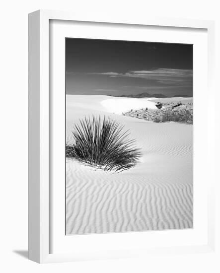 USA, New Mexico, White Sands National Monument. Bush in Desert Sand-Dennis Flaherty-Framed Photographic Print