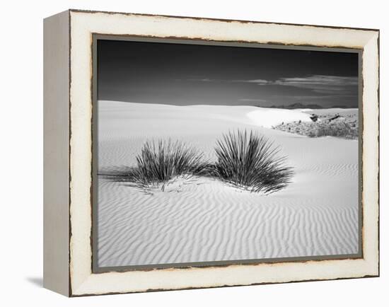 USA, New Mexico, White Sands National Monument. Bush in Desert Sand-Dennis Flaherty-Framed Premier Image Canvas